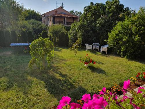 Villa Nikolina – Pula Medulin, IA