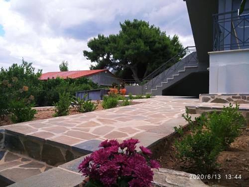  APARTMENTS:Alexandros -Sofia in Aghia Marina