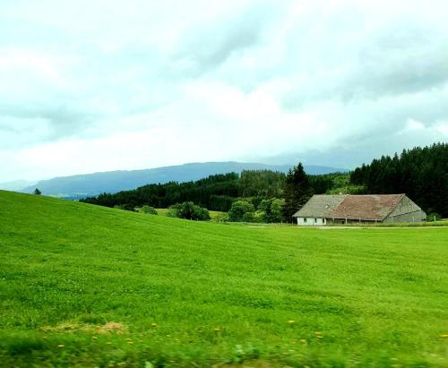 Ferienwohnung Alpenveilchen im Oberallgäu