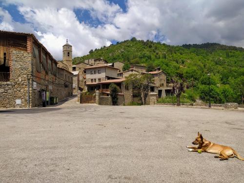  Hostal Pas De La Pera in Aransá