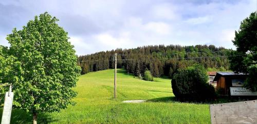 Ferienwohnung Alpenveilchen im Oberallgäu