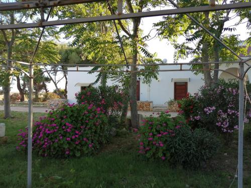 Agriturismo Tenuta Perruzzi - image 13