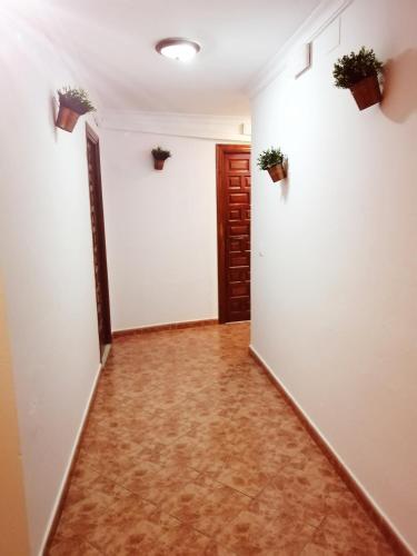 Hostal Buena Vista - image 2