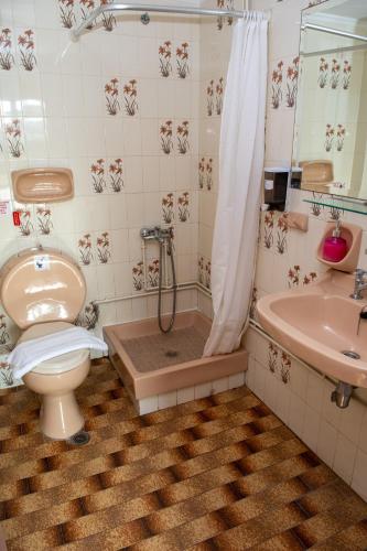 Alkion Hotel - image 7
