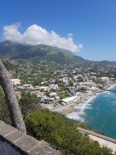 Casa La Torre Forio d'Ischia - Vicoli Saraceni