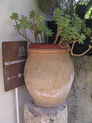 B&B Il Rustico - Accommodation - Turate