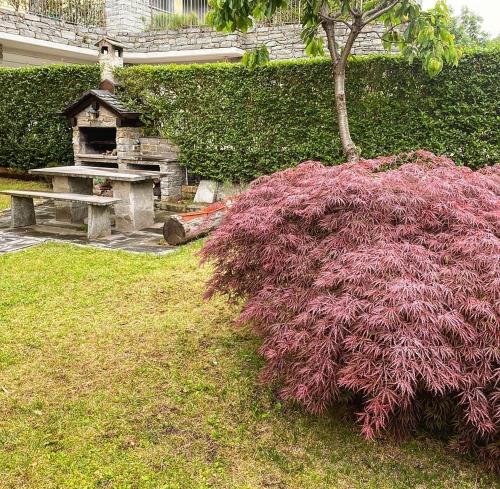 Appartamento con Giardino e Box in Valmalenco in Torre di Santa Maria