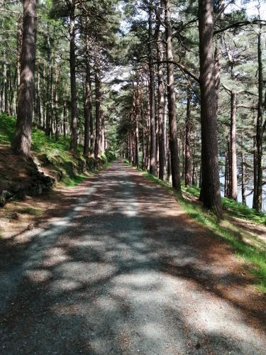 Relaxing space. in Wicklow