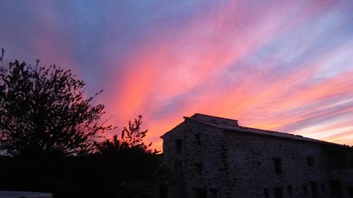 LES VIGNES de la TOUR SAINT-BLAISE photo 22