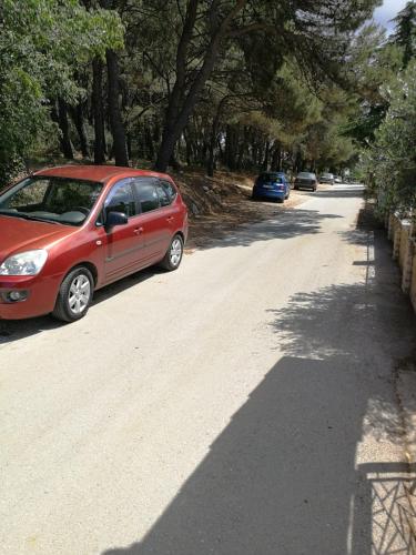 Apartment Pineta with terrace & park wood view