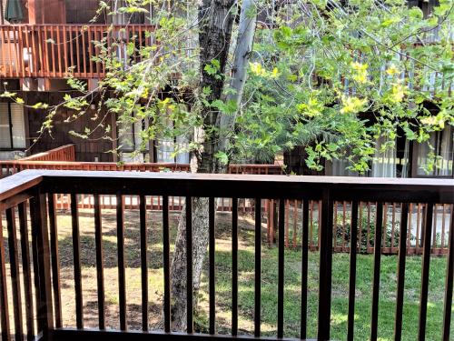 Three-Bedroom Specialty Townhouse Unit #66 by Snow Summit Townhouses Bus Lic #23581 - image 4