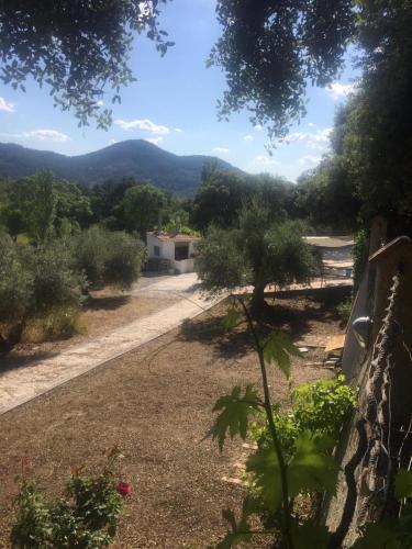 Casa Rural Cortijo La Ajedrea in 古亞達利馬爾綠鎮