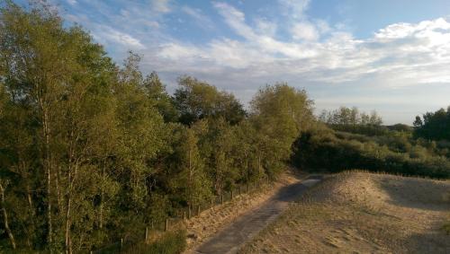 Karthuizer Duinpoort - image 4