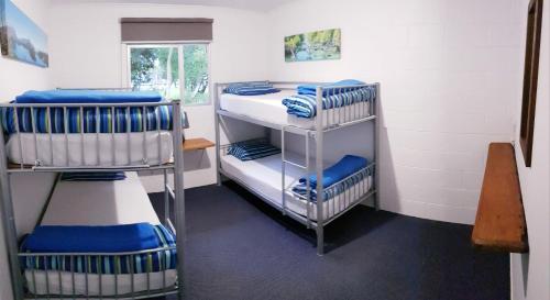 1 bunk bed