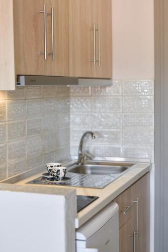 House Stelitsa - image 4