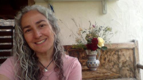  La Portada Del Medievo II - Apartamentos in Javierregay