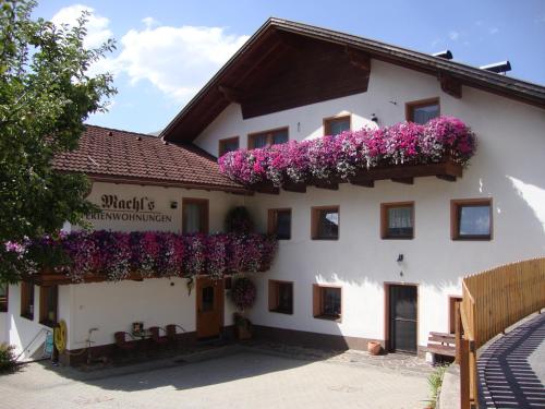 Machls Ferienwohnungen - image 2