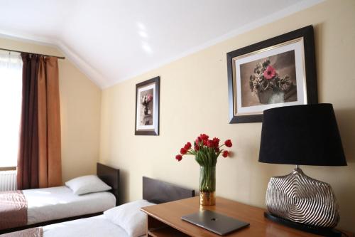 Homestays in Lublin 