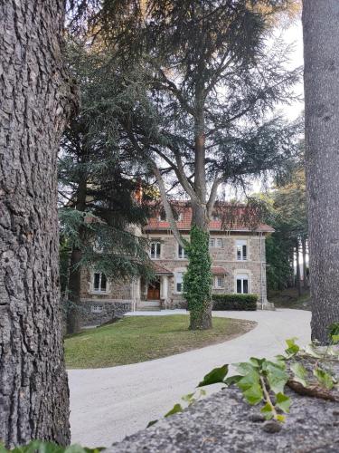 La villa des prés chambre Cèdre chambre d'hôte Saint-Victor