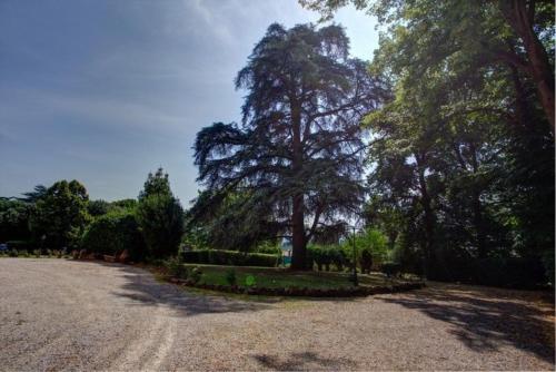Villa Rocchi - image 9