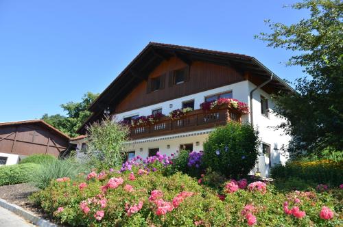 Gastehaus Wildgehege in Wilhelm
