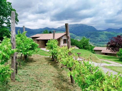 Agriturismo Borgo Biaia - image 11