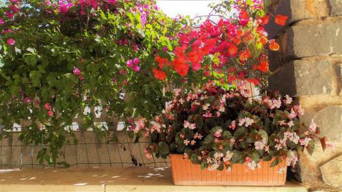 Welcomely - Cristoforo Colombo 13 - Cala Gonone