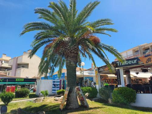 boutiques, le studio du palais de la mer in Le Grau du Roi