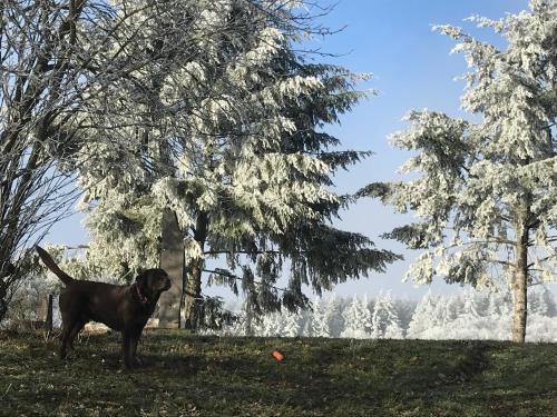 Bildstein's "Kathmandu" Bildstein's "Kathmandu"