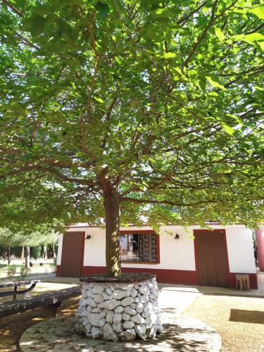 Casa Rural El Palomar