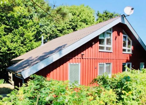 Premium-Ferienhaus Extertal Ferienpark - Natur Erholung Sauna Familie