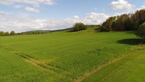 Premium-Ferienhaus Extertal Ferienpark - Natur Erholung Sauna Familie