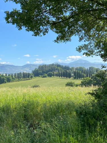 Agriturismo Germogli I Tenuta di Fassia - image 4