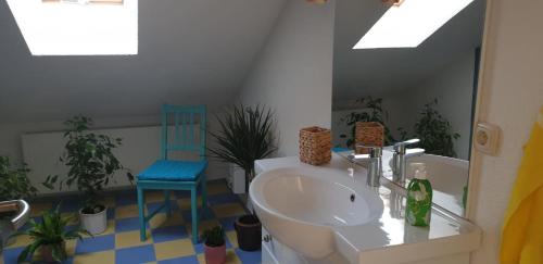 Gartenlaube Gartenlaube