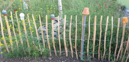 Gartenlaube Gartenlaube