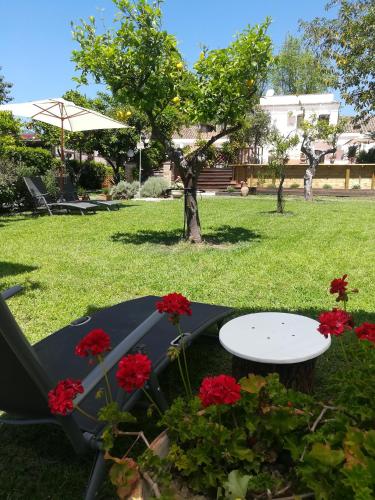 Agriturismo Terrenia - image 5