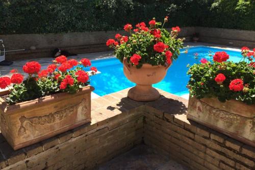 Swimming pool, Villa Estate - Pesaro in Sant'Andrea (Pesaro)