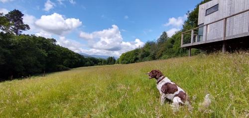 Nire Valley Eco Camp