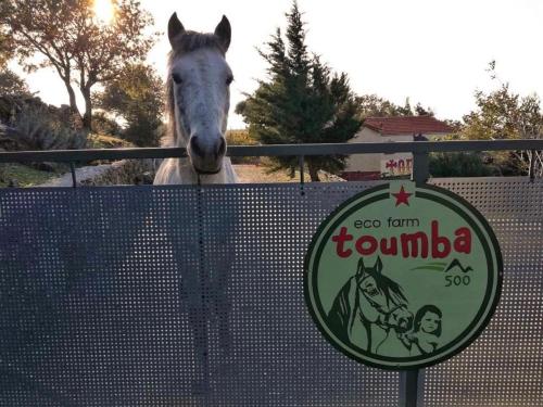  Toumba Eco Farm Guesthouses in Plomari