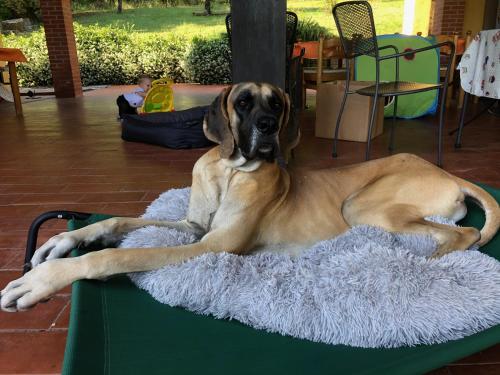 Agriturismo Santa Lorica