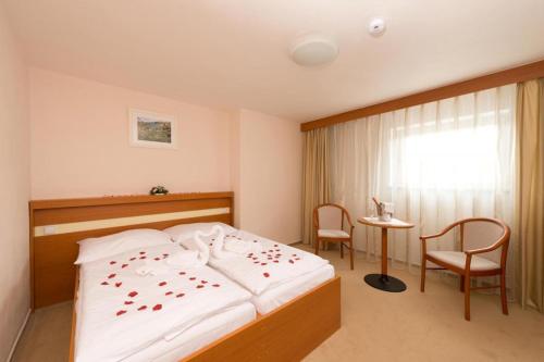 HOTEL SVRATKA - main image