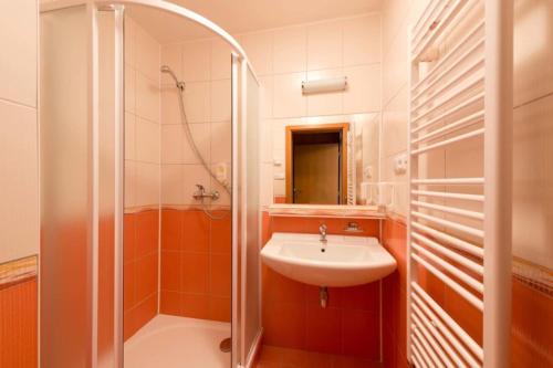 HOTEL SVRATKA - image 2