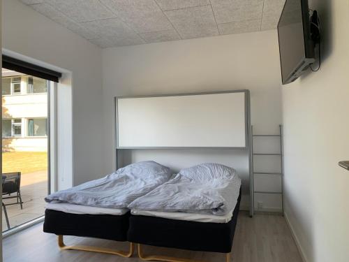 Dana Cup SportsCenter - image 3