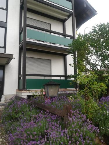 Exterior view, Ferienwohnung Ziegelbergblick in Jockgrim