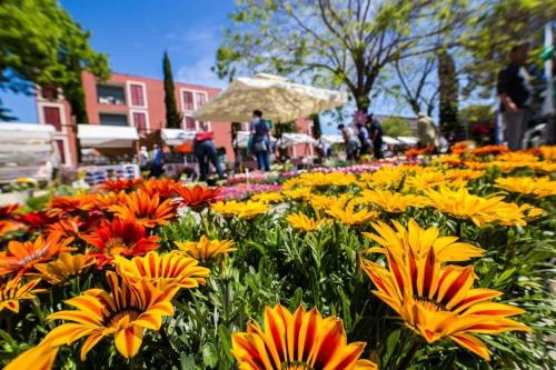 House Tina - image 3