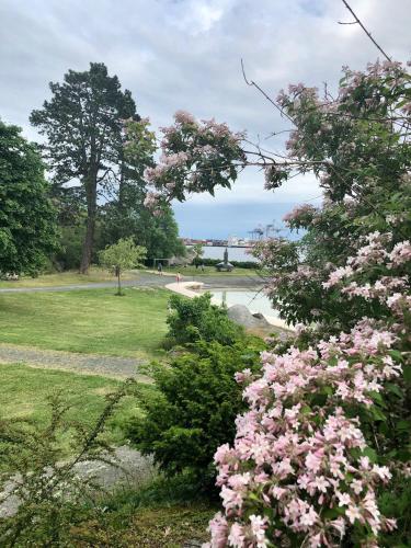 สวน, Larvik Pensjonat in ลาร์วิค