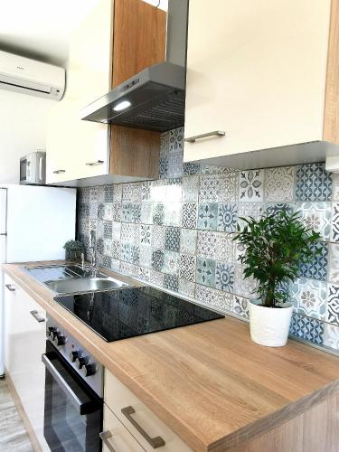Apartments Lucia - Location saisonnière - Pag