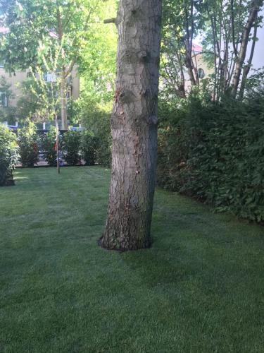 Premium Green Apartments Vienna - image 2