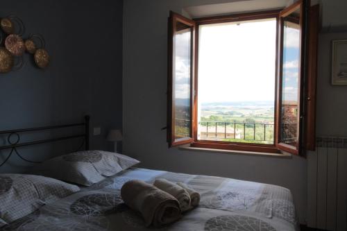 @151, Siena (foto 7)