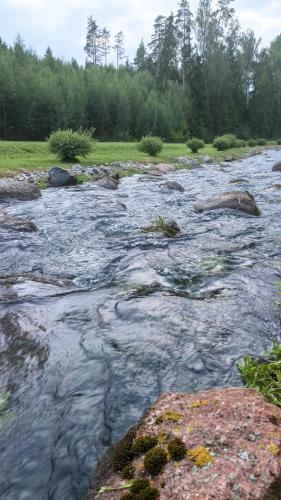 Orupõhja kämpingud ja telkimisala